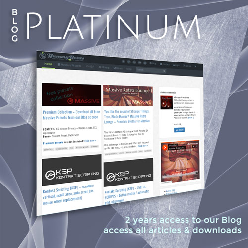 Blog Platinum Plan
